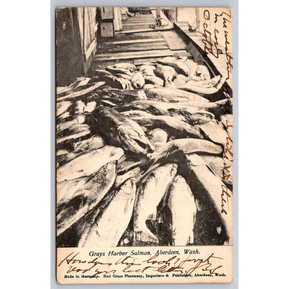 Postcard Washington Aberdeen Grays Harbor Salmon Posted 1913 Stamp WA Red Cross